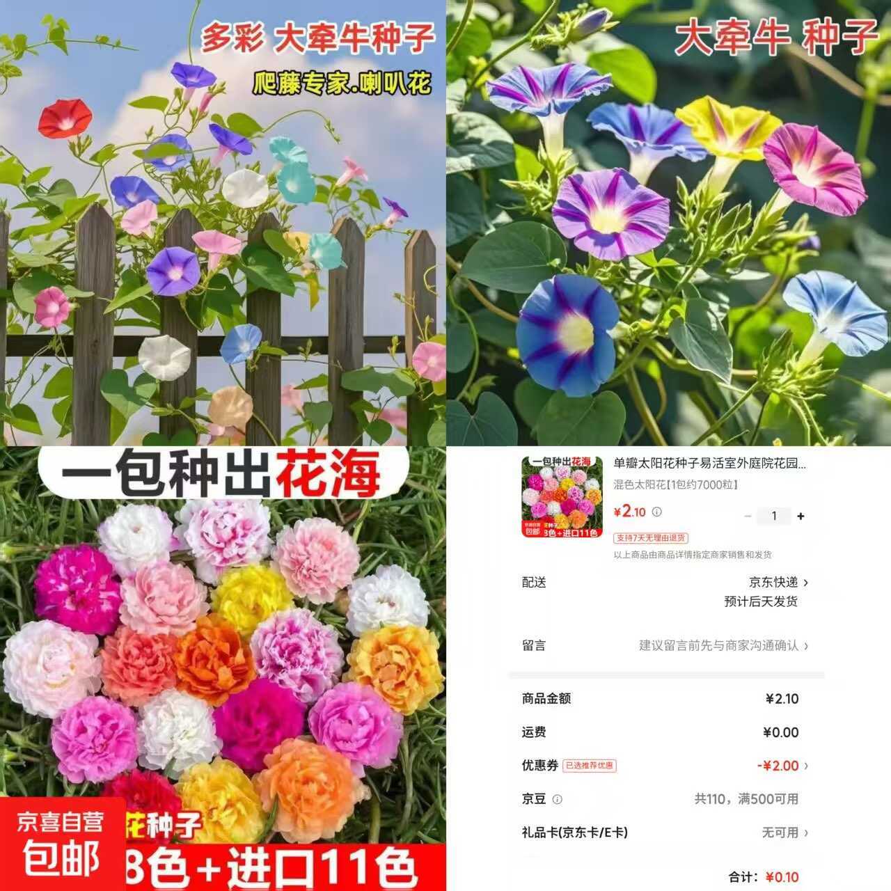 京东0.1太阳花种子约7000粒-小创项目网