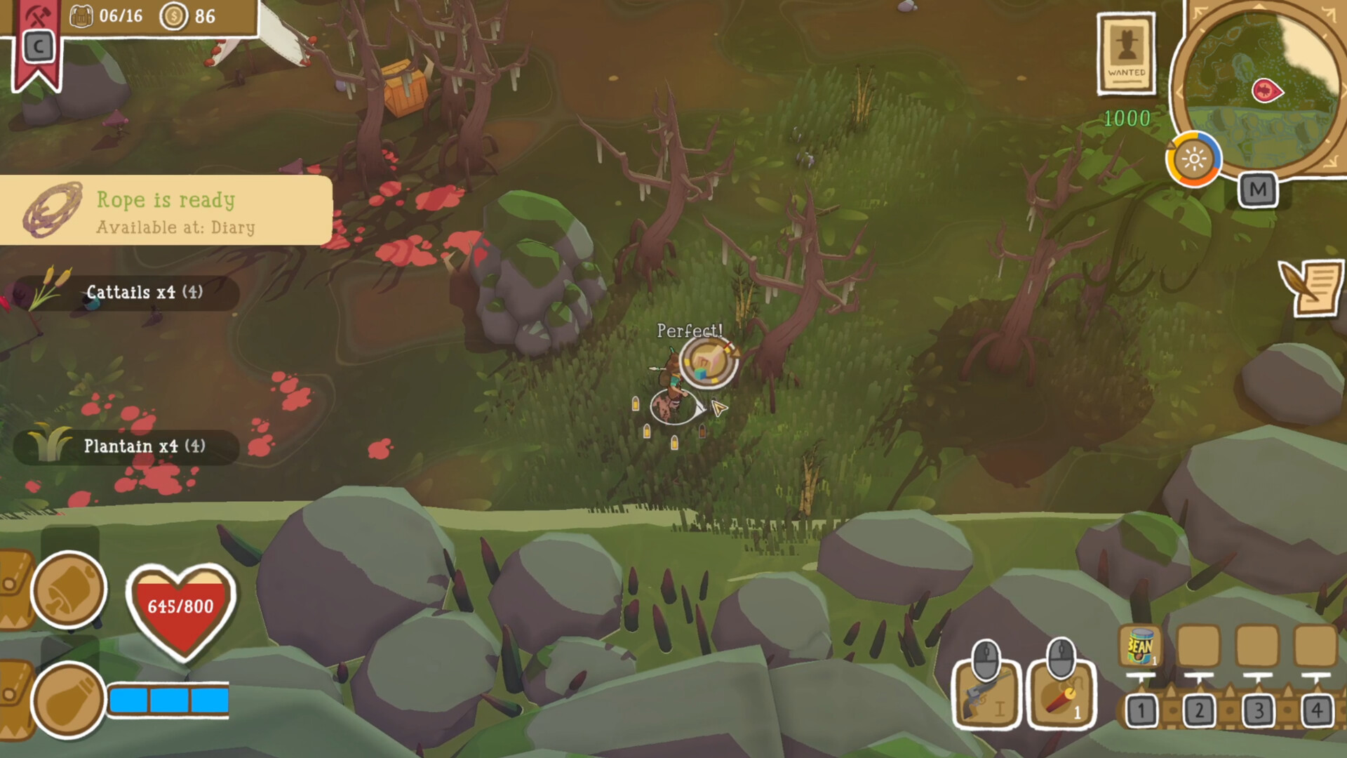 恐龙之路/Dino Path Trail-小创项目网