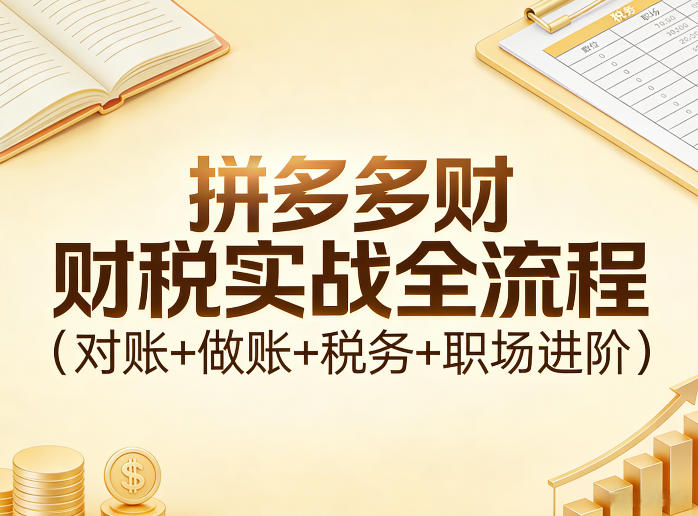 拼多多财税实战全流程(对账+做账+税务+职场进阶)-小创项目网