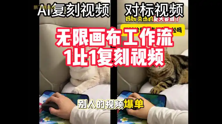 宠物带货视频复刻，无限画布工作流1比1，不用拍摄、不用布景、不用真人出镜，几分钟就能做出一条专业带货视频-小创项目网