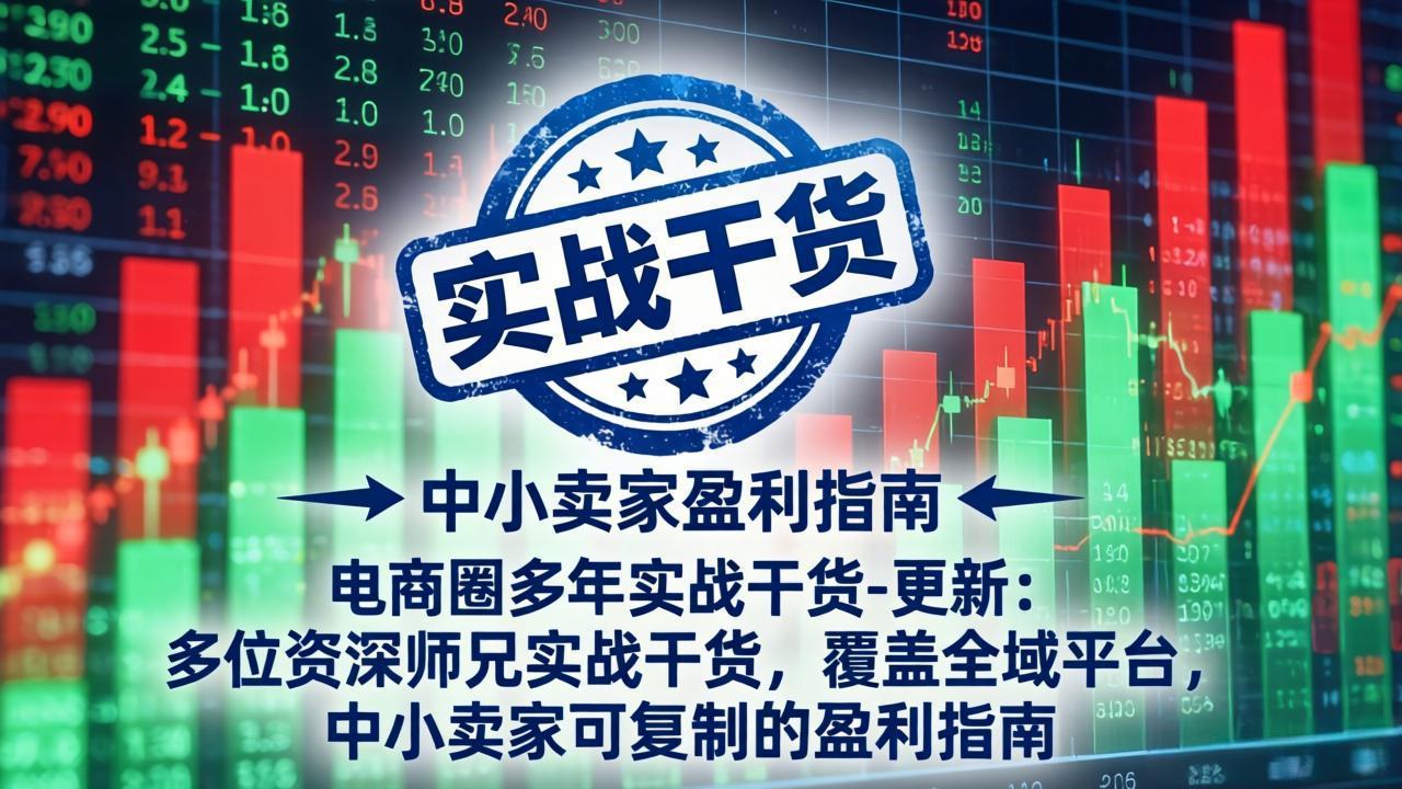 电商圈多年实战干货-更新2026：多位资深师兄实战干货/覆盖全域平台，中小卖家可复制的盈利指南-小创项目网