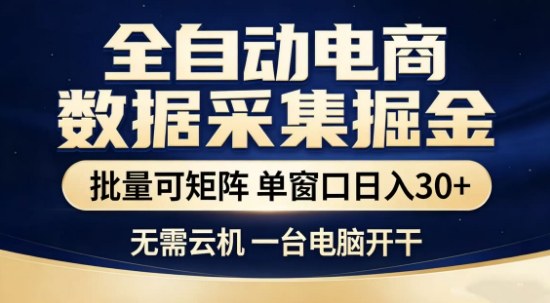 独家电商数据全自动采集项目，批量可矩阵，单窗口轻松日入3张+【揭秘】-小创项目网