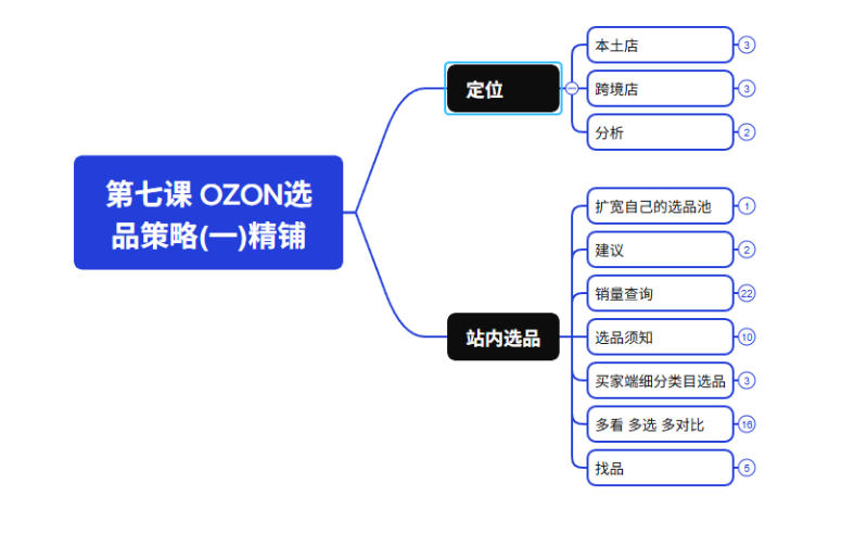 2026最新OZON全流程运营实操跨境电商平台教程，OZON全流程一站式系统学习必修课，从开店到跟卖到精铺-小创项目网