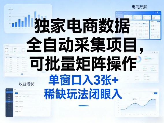 独家电商数据全自动采集项目，可批量矩阵操作，单窗口日入3张+，稀缺玩法闭眼入【揭秘】-小创项目网