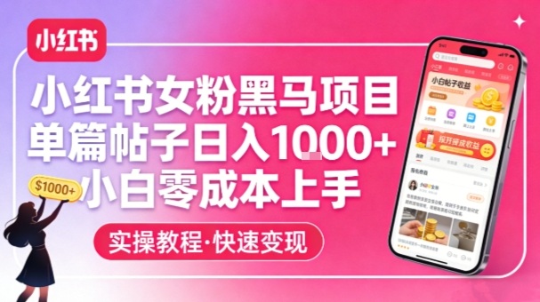 小红书女粉黑马项目，单篇帖子日入1k+，小白零成本上手-小创项目网