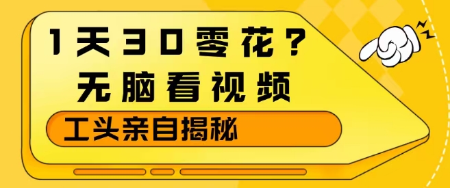 1天30零花？无脑看视频，大佬亲自揭秘-小创项目网