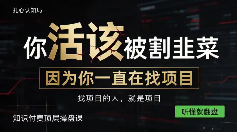 做项目不如卖项目，做知识付费自己当老板，知识付费顶层操盘课，听懂就翻盘【揭秘】-小创项目网