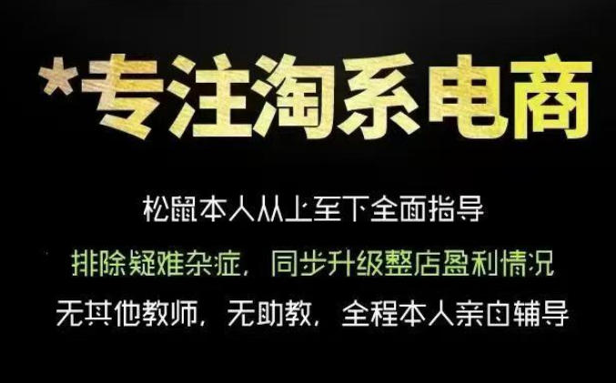 松鼠会电商VIP课程，从基础布局到高阶优化，助你掌握淘宝运营逻辑，提升店铺流量与转化(更新0703)-小创项目网