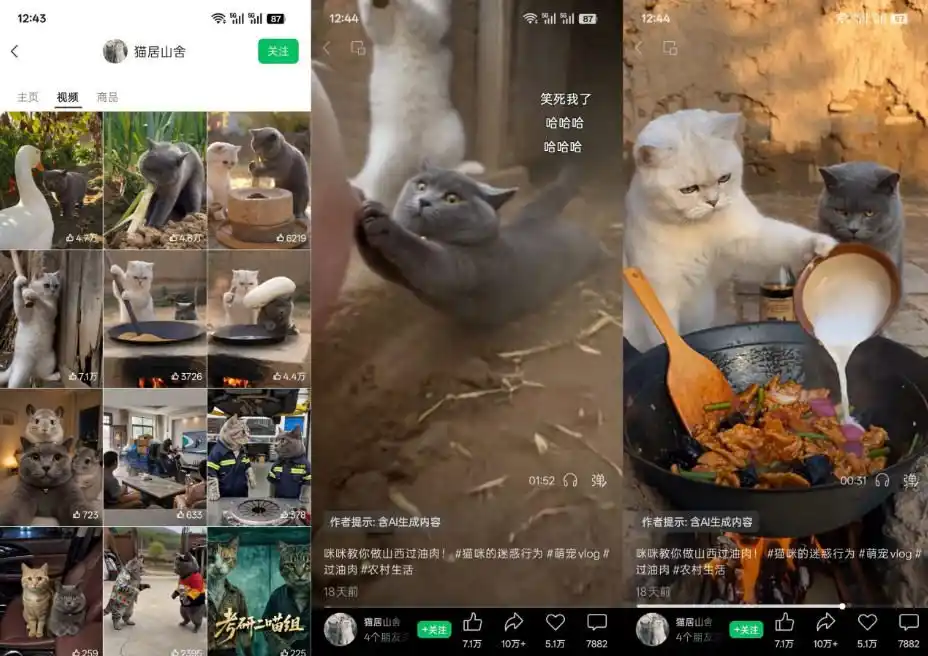 猫咪慢生活短视频教学，AI搞笑萌宠赛道，视频号分成+精选独家+伙伴计划+商单收徒等多种变现方式-小创项目网