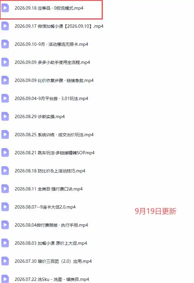 拼多多实战特训营(更新0920-小创项目网
