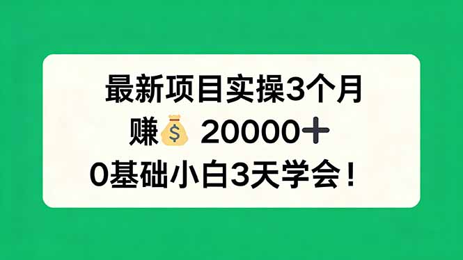 最新项目实操3个月，赚钱20000+，0基础小白3天学会！-小创项目网